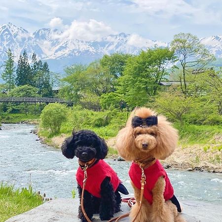 Hotel 白馬パウダーマウンテン Hakuba Esterno foto