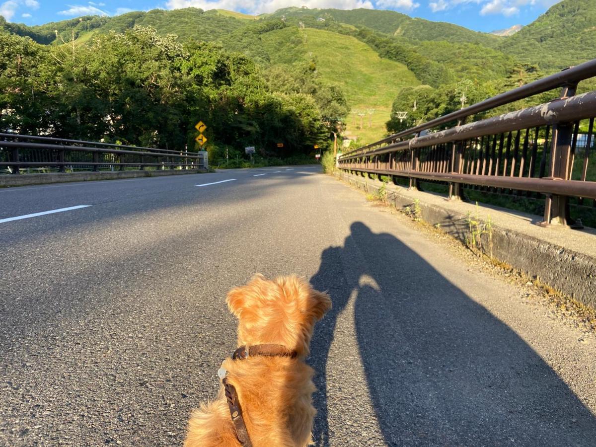Hotel 白馬パウダーマウンテン Hakuba Esterno foto