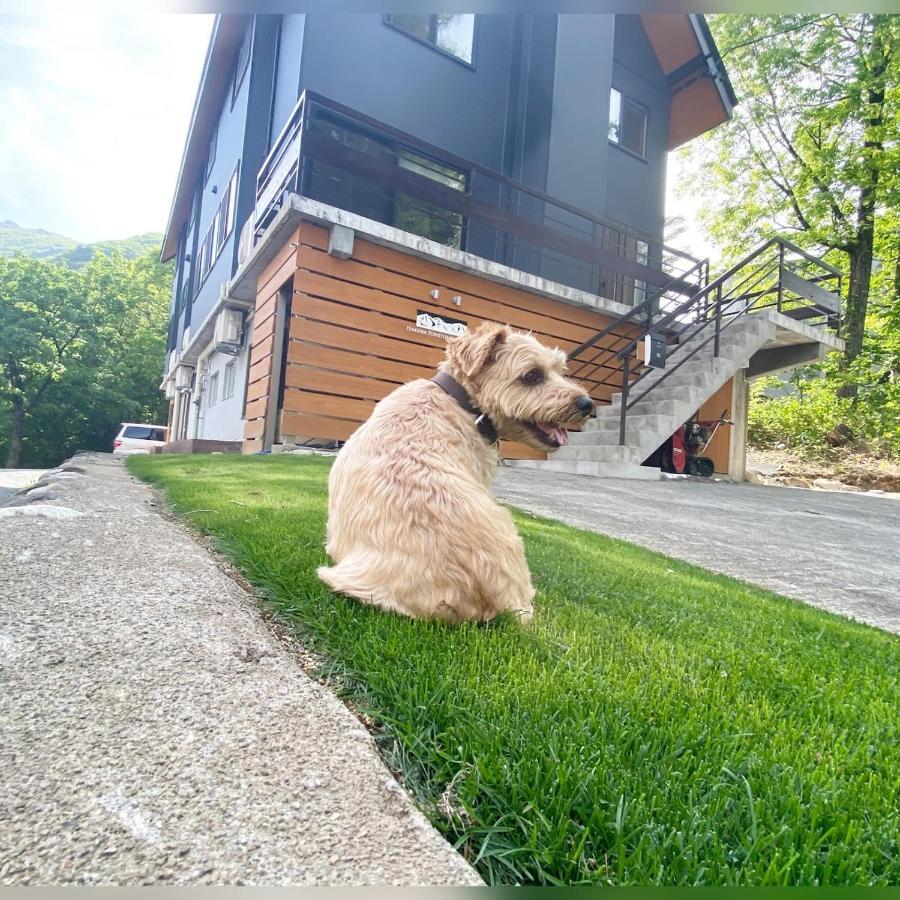 Hotel 白馬パウダーマウンテン Hakuba Esterno foto