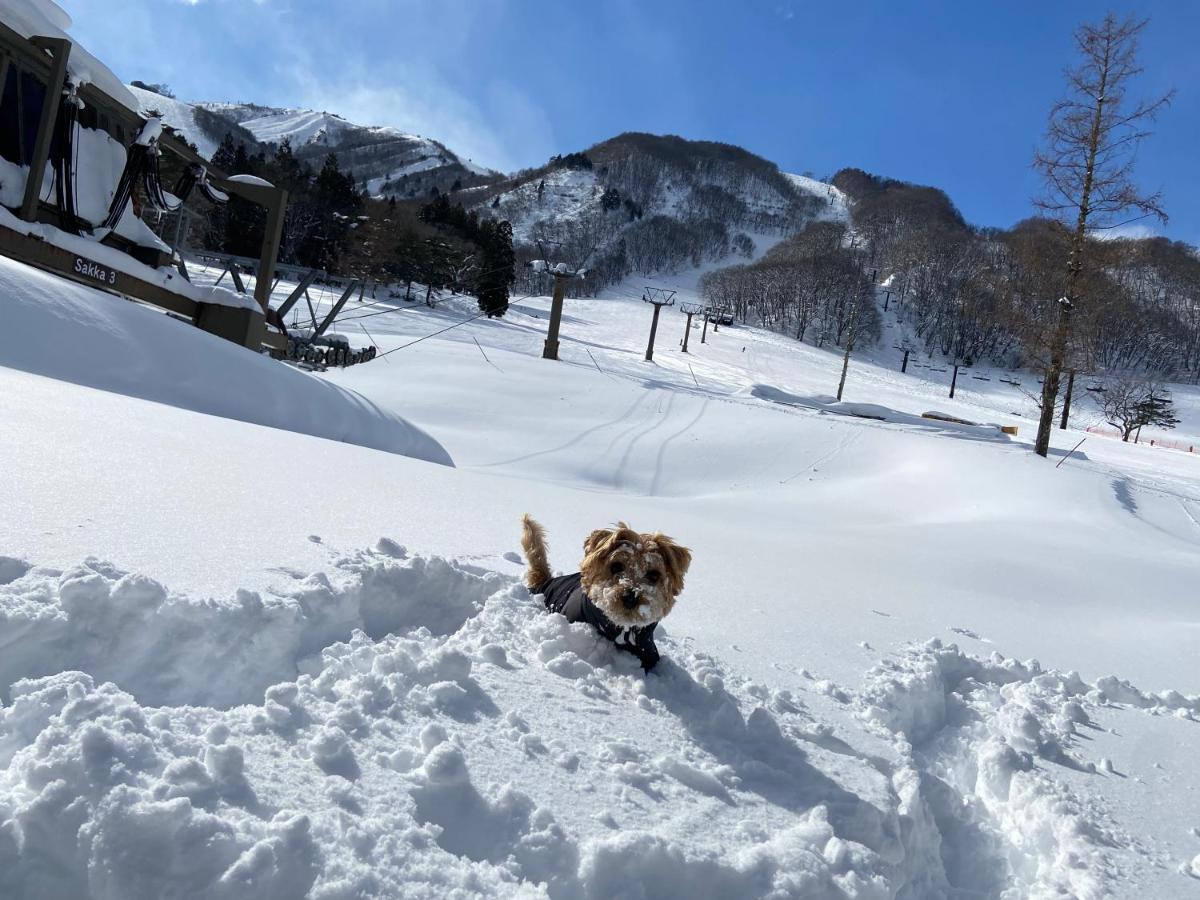 Hotel 白馬パウダーマウンテン Hakuba Esterno foto