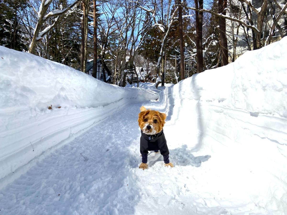 Hotel 白馬パウダーマウンテン Hakuba Esterno foto