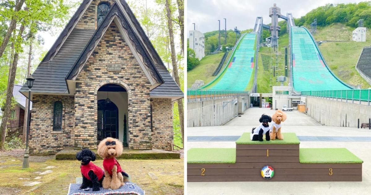 Hotel 白馬パウダーマウンテン Hakuba Esterno foto